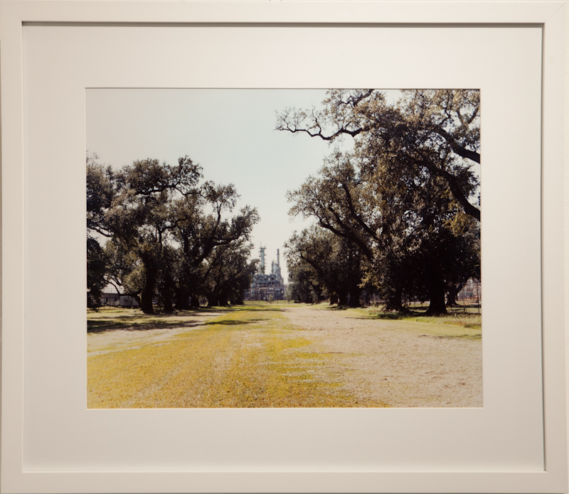 Oak Lane 2011
