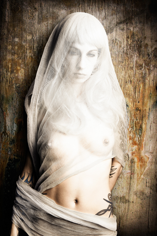 Untitled 13