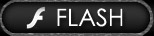 Flash Version